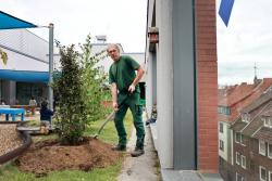 Neue Pflanzen für das Außengelände der Caritas-Kita Arneken Galerie